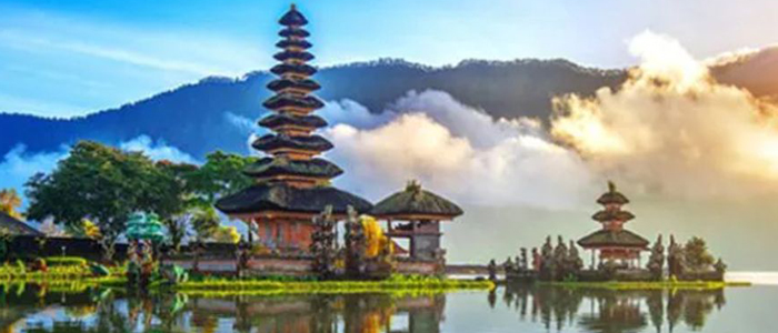 006 700 x 300 pixels